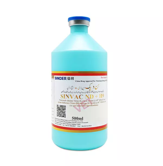 Каким наиболее распространенным способом цыплят заболевают?