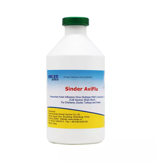 Как птичий грипп влияет на здоровье птицы?