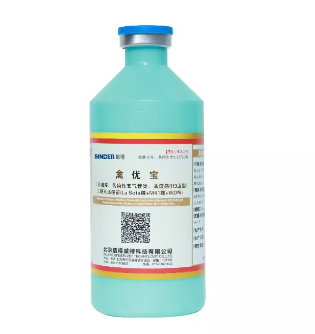 Стоит ли прививать цыплят?