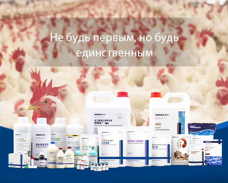 Роль медицины в поддержании здоровья скота