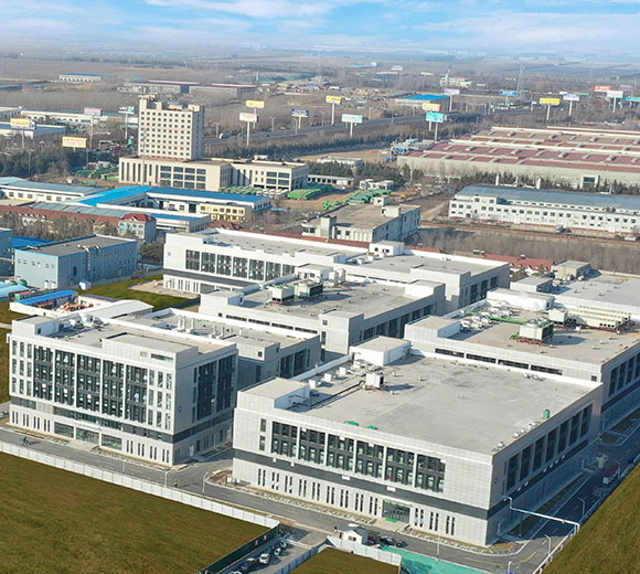 Вакцина для свиней, лекарство для птицы - Sinder